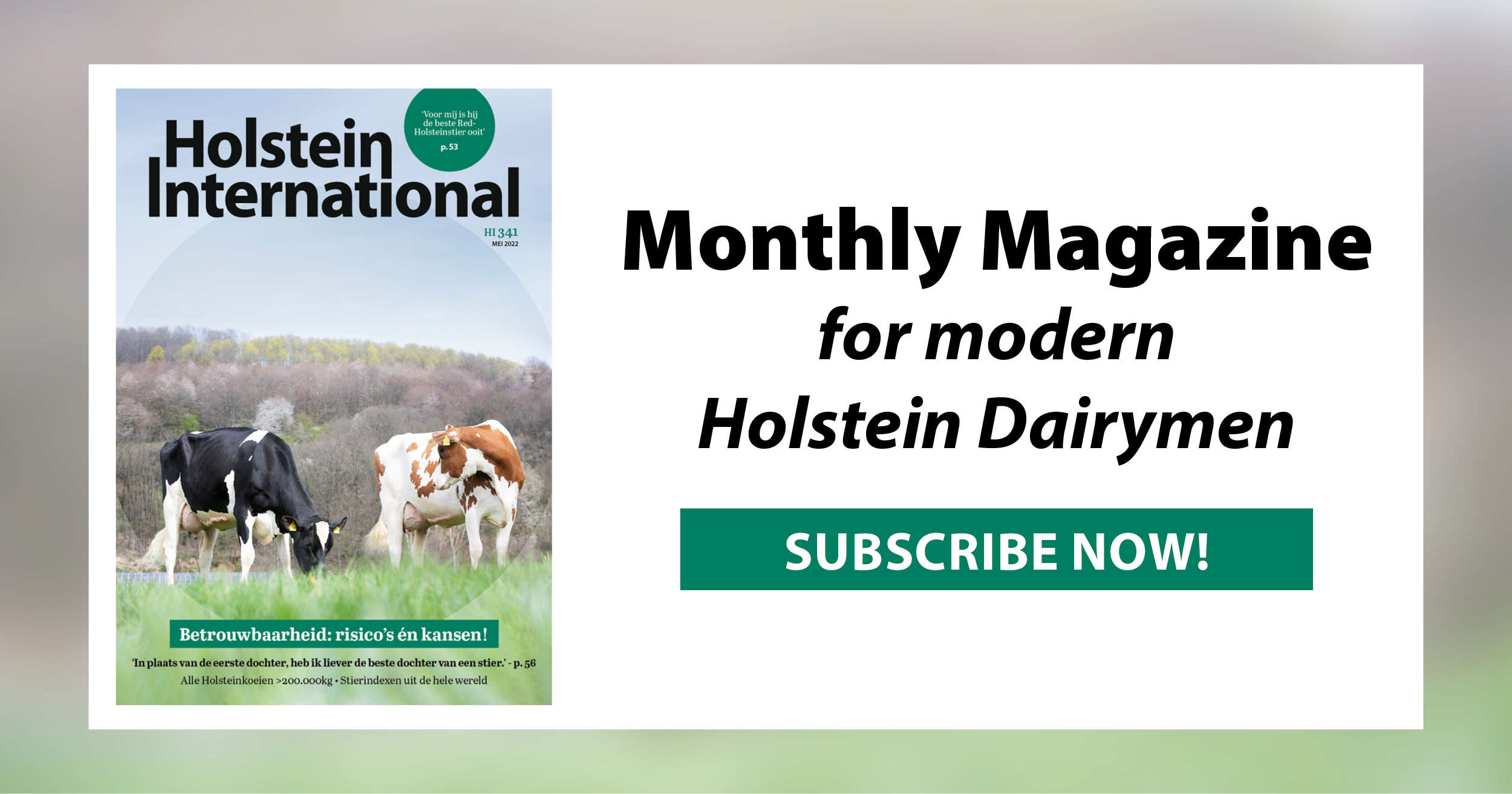 (c) Holsteininternational.com