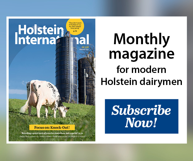 (c) Holsteininternational.com