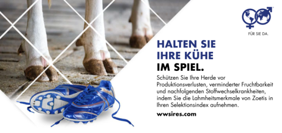 0425_HI Banner_German kopie