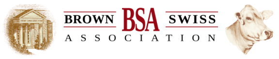 BSCBA logo2023-1