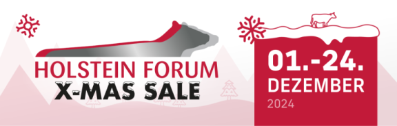 Holstein Forukm xmas sale