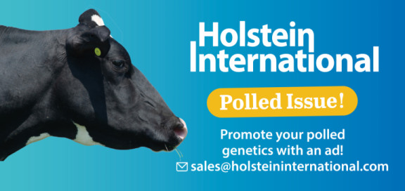 Holstein_International_Special3