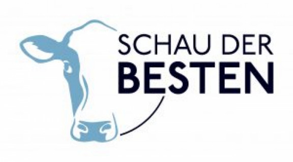 MAR-Schau-der-Besten-logo-dunkel_RGB-300x166