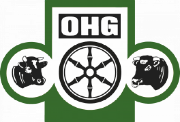 OHG_Logo_retina