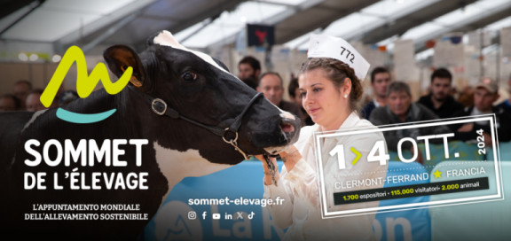 SDE_HOLSTEIN_ITA_1120x528px_20244