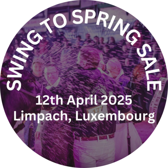 Swingtospringsale