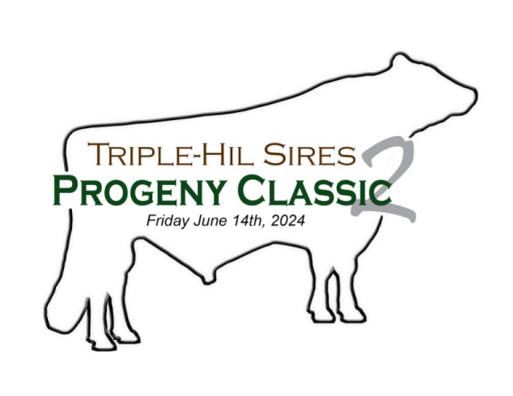 Triple Hil Sires Progeny classic