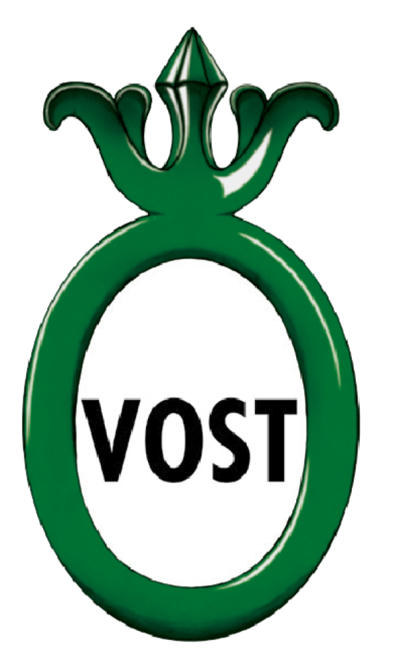 VOST_Logo