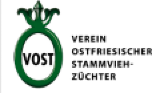 VOST Logo