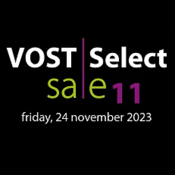 Vost Select Sale