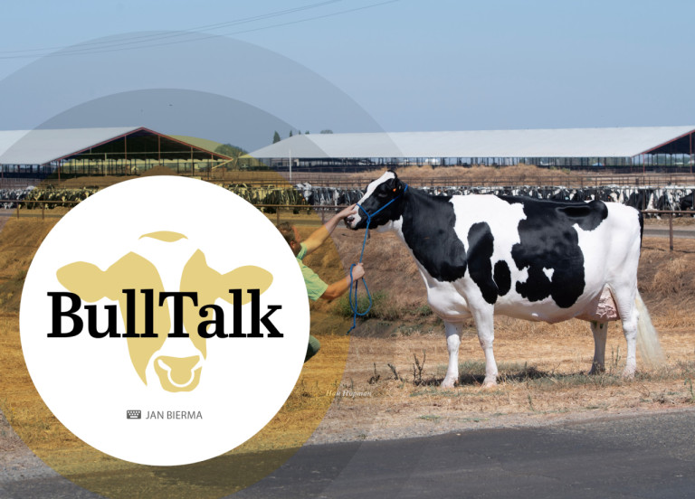 BullTalk