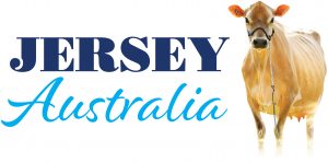 JerseyAustralia_Colour-300x149.jpg