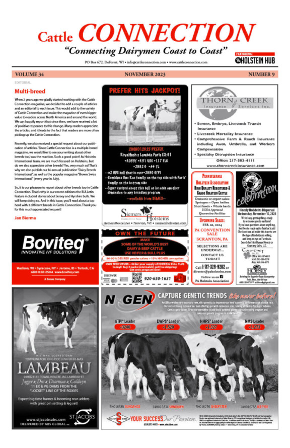 CattleConnectionNovember 2023-cover