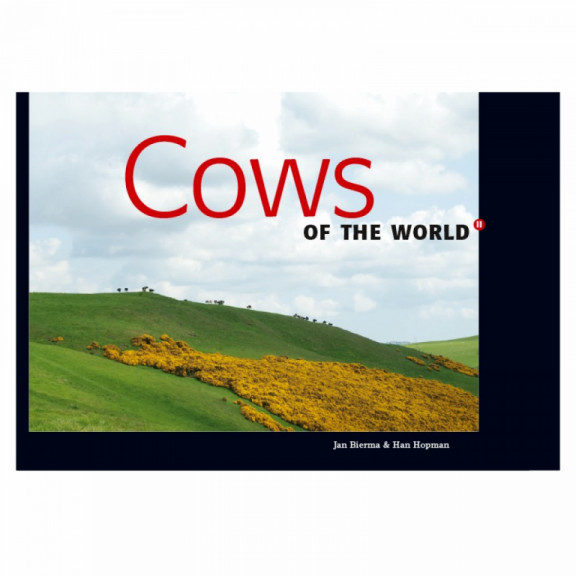 cows-cows-of-the-world-ii.jpg