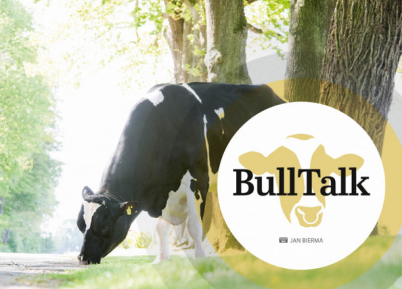 bull-talk-dezember-2020_de.jpg