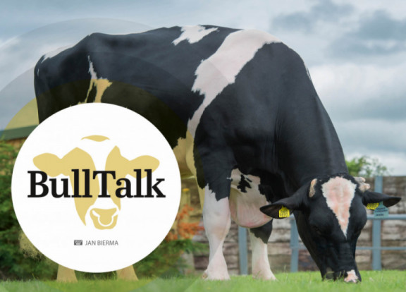 bull-talk-febbraio-2021_it.jpg