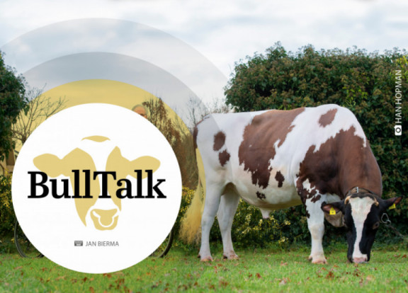 bull-talk-gennaio-2020_it.jpg