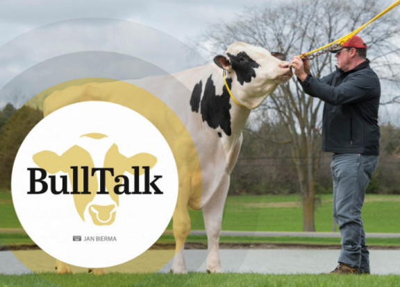 bull-talk-januar-2021_de.jpg
