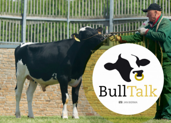 bull-talk-luglio-2019_it.jpg