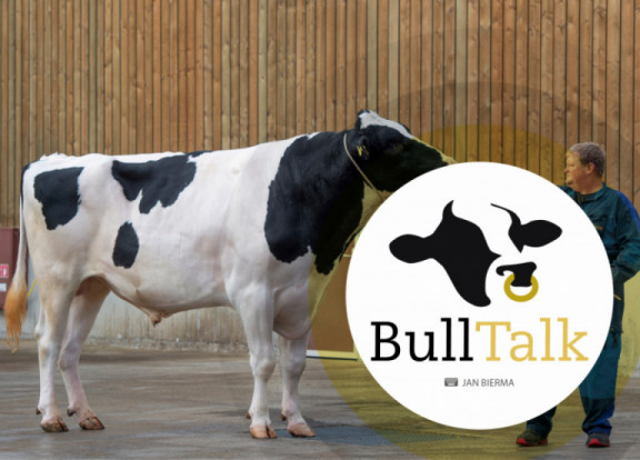 bull-talk-november-2019_nl.jpg