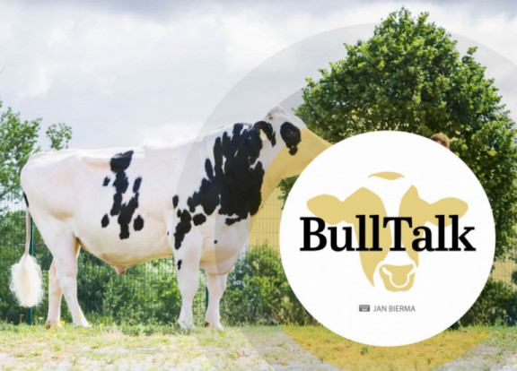 bull-talk-november-2020_nl.jpg
