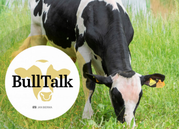 bull-talk-october-2020.jpg
