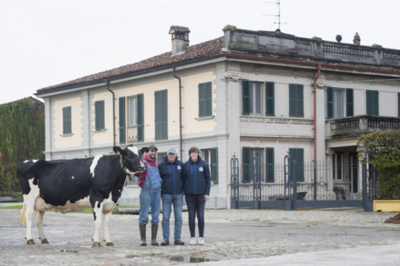 complete-cows-are-the-big-attraction-at-alce-holsteins-in-italy.jpg