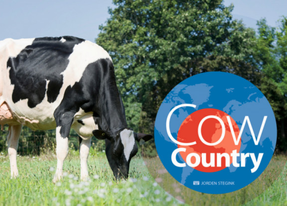cow-country-1-novembre-2018_it.jpg