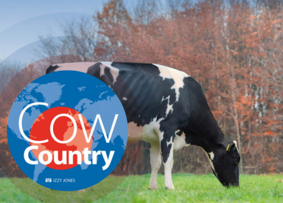 cow-country-2-april-2019.jpg