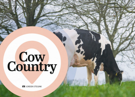 cow-country-2-gennaio-2020_it.jpg