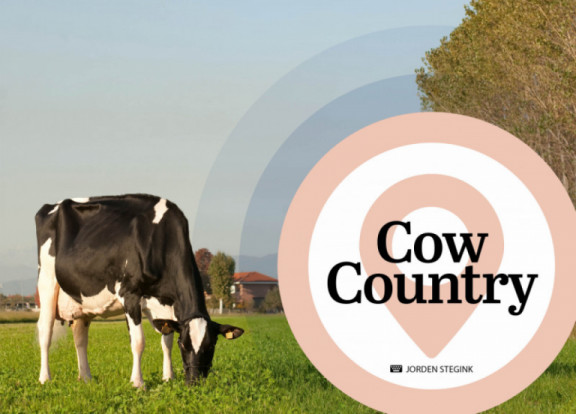 cow-country-agosto-2020_it.jpg