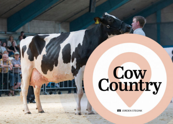 cow-country-april-2020_de.jpg