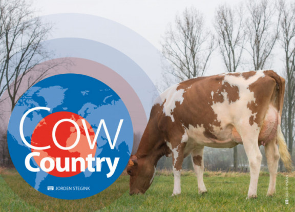 cow-country-august-2019.jpg