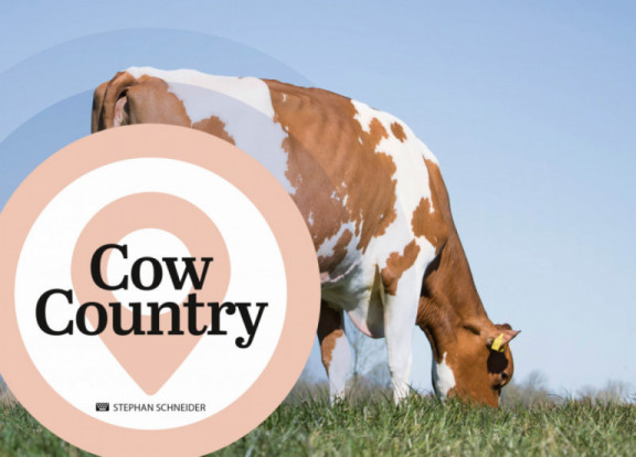 cow-country-december-2020.jpg
