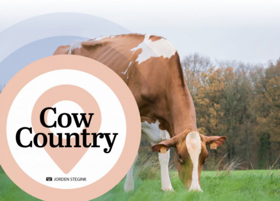 cow-country-febbraio-2020_it.jpg