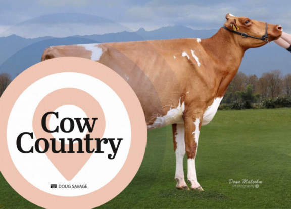 cow-country-febbraio-2021_it.jpg