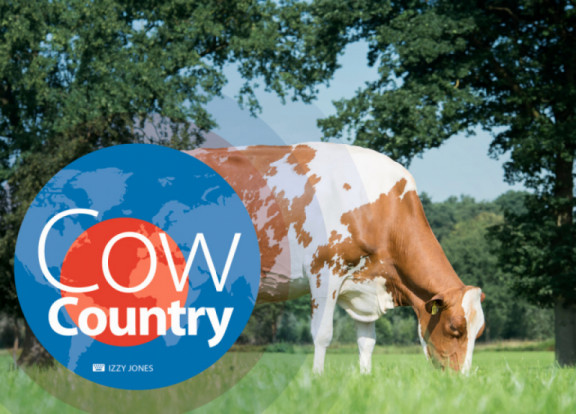 cow-country-februari-2018_nl.jpg