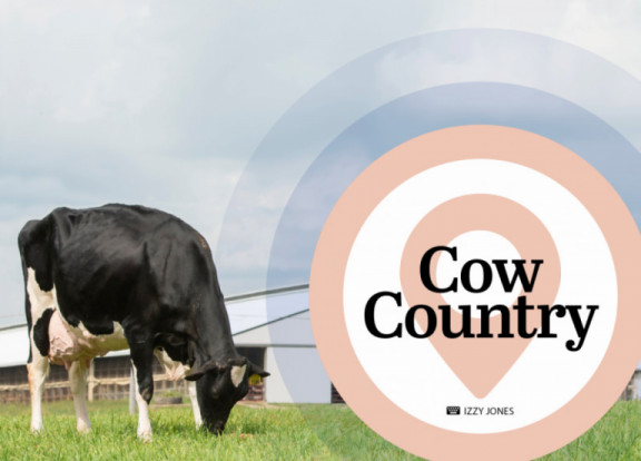 cow-country-februari-2020_nl.jpg