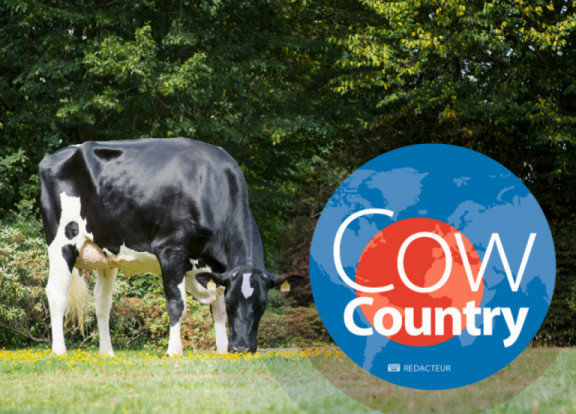 cow-country-gennaio-2019_it.jpg