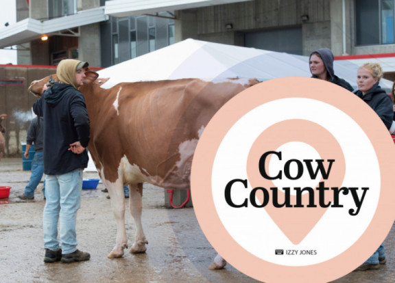 cow-country-gennaio-2020_it.jpg