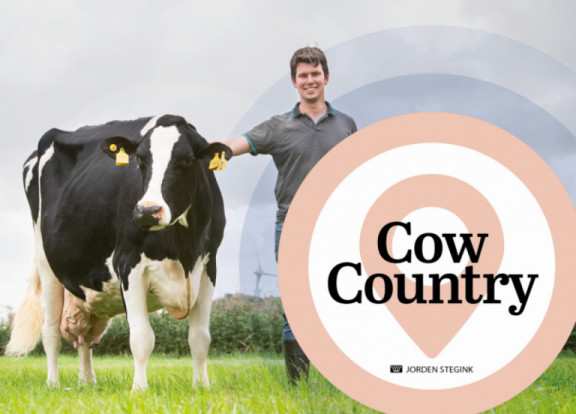 cow-country-i-november-2021_fr.jpg