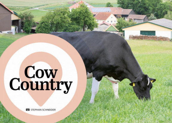 cow-country-ii-november-2021.jpg