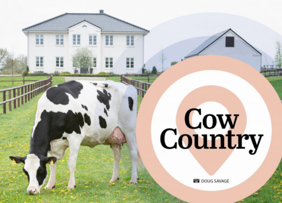 cow-country-ii-october-2021.jpg