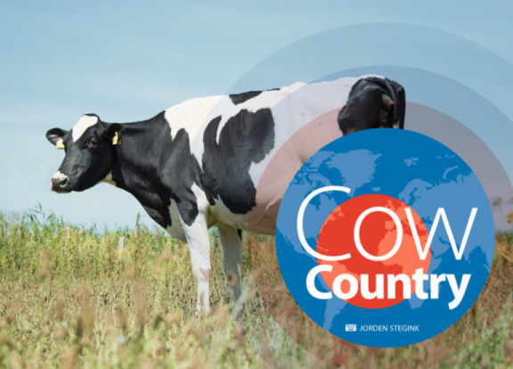 cow-country-januar-2018_de.jpg
