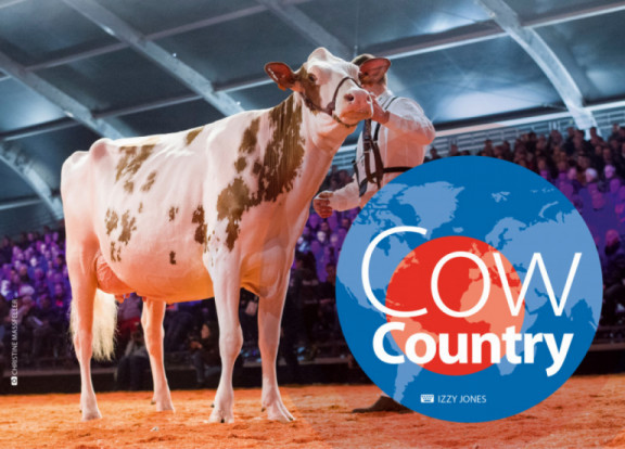 cow-country-juillet-2019_fr.jpg