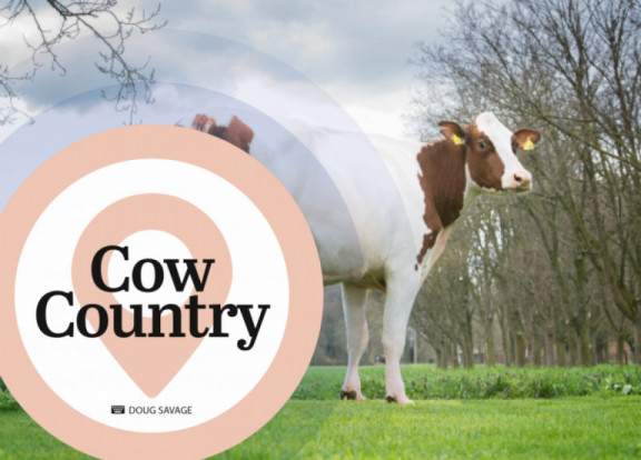 cow-country-juillet-2021_fr.jpg