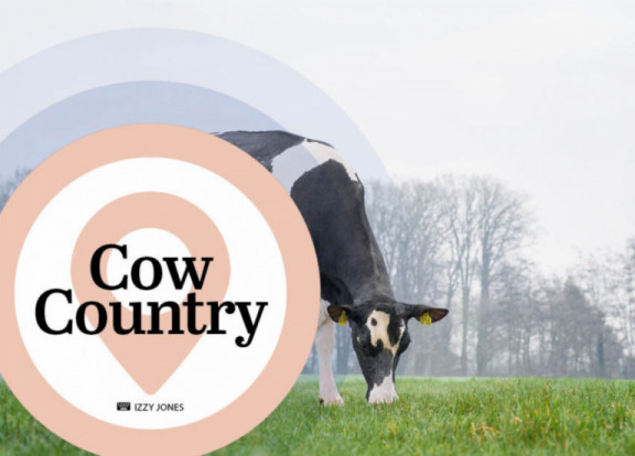 cow-country-juin-2020_fr.jpg