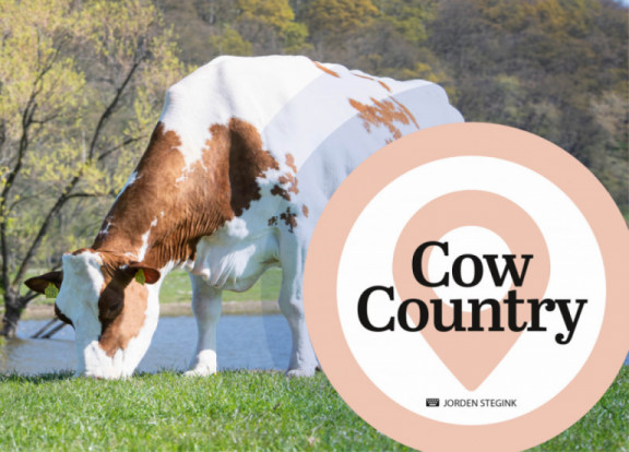 cow-country-julliet-2021_fr.jpg
