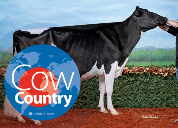 cow-country-juni-2017_nl.jpg