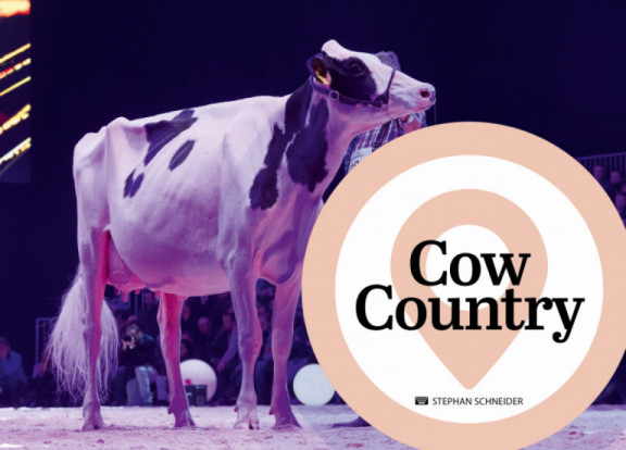 cow-country-maart-2020_nl.jpg